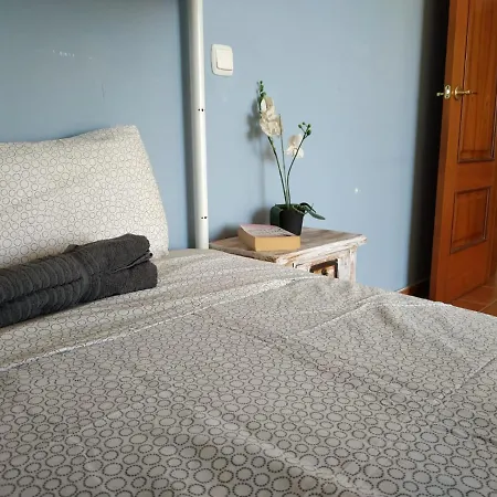 Aloha Surf House Gæstehus