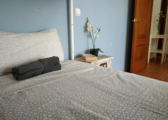 Aloha Surf House Guest house